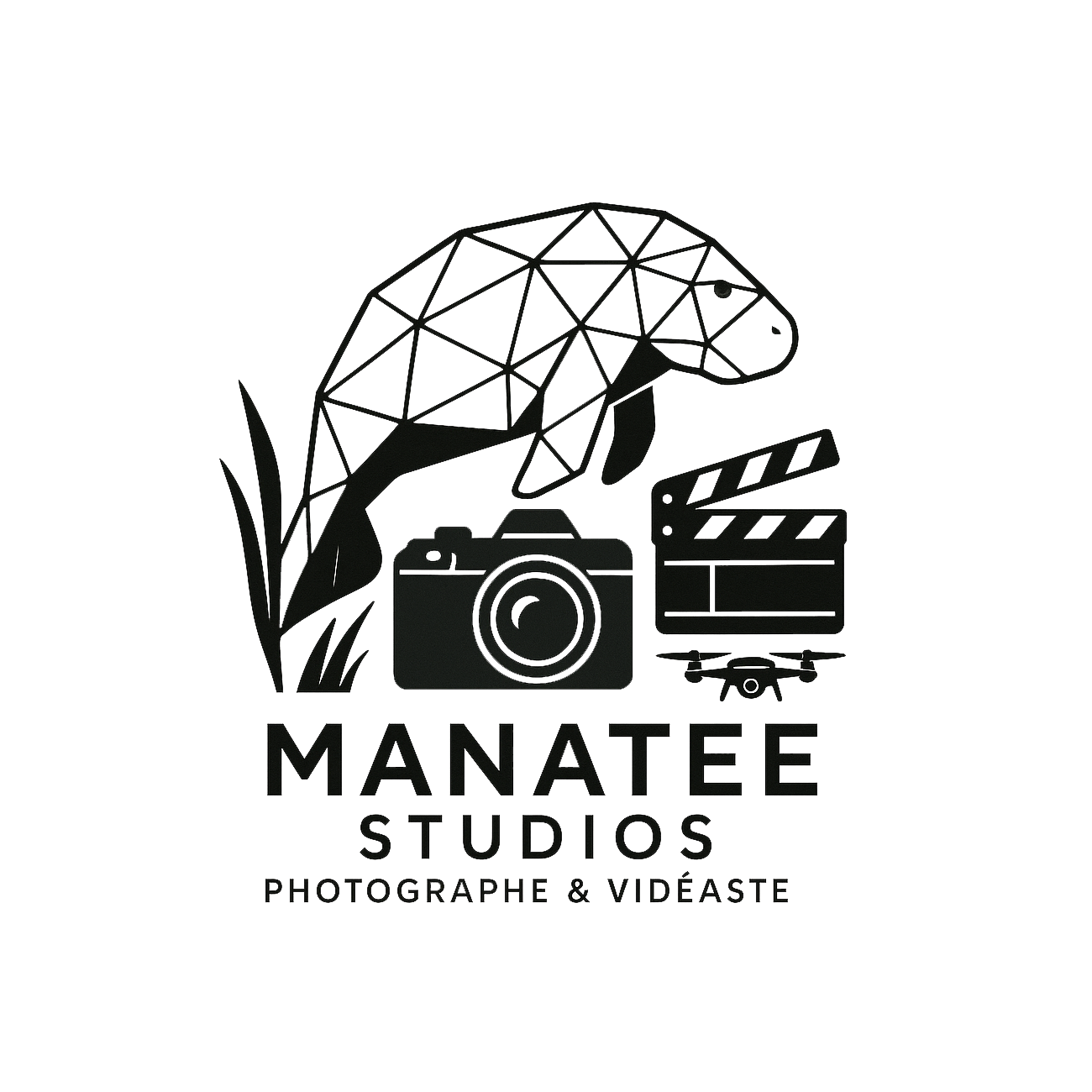 Logo Manatee Studios